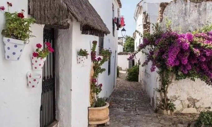 Castillo de Castellar Apartment | Lodging in a medieval hamlet, a wonderful experience. Restaurant,Info Point.Sl 3