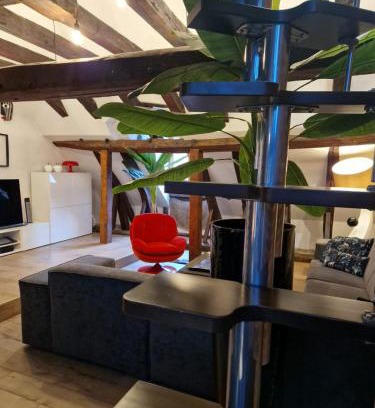 Montbeliard Apartment | Loft i gemelli