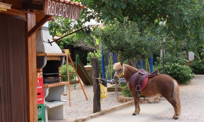 Ossa de Montiel House | Log Cabins Los Molinos, Colgada