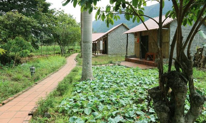 Cat Hai Hotel | Long Phuong Homestay