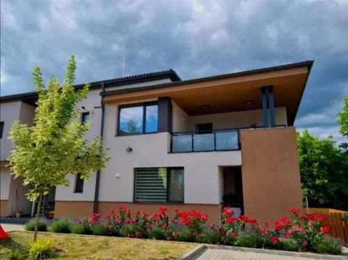 Odorheiu Secuiesc Apartment | Lotus Apartman I