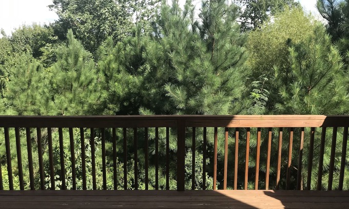Morrisville House | Lovely 4 bed/3.5 bath Townhome in the Heart of Cary