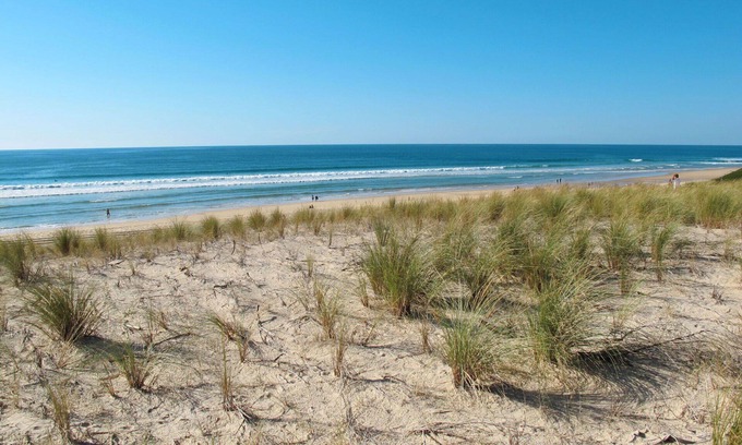 Biscarrosse Plage Apartment | Lovely apartment for 6 people with pool, WIFI, TV, terrace, pets allowed and parking