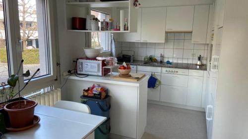 Allschwil Apartment | Lovely calm flat in 10min in Basel