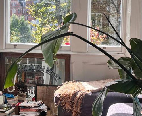 West Kensington Apartment | Lovely flat near Holland Park