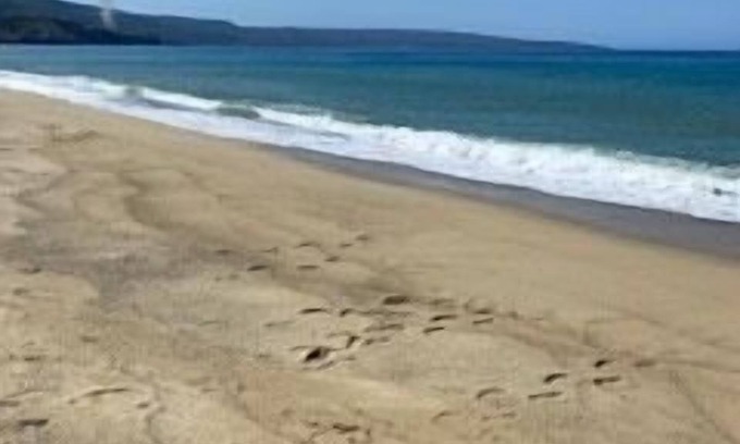 Pizzo Apartment | Lovely ground floor apartment with a garden, 5 minutes walk to a sandy beach
