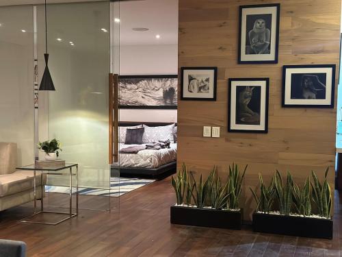 Xochimilco Apartment | Luxurious and exotic apartment in Reforma 222