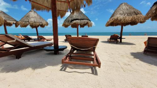 Playa Mujeres Apartment | Luxurious Apartment La Amada Ocean View