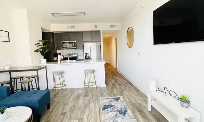 Downtown Apartment | Luxury 2 Bedroom Downtown Silver Spring!