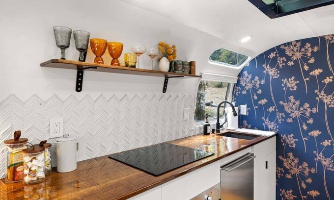 Pisgah Forest House | Luxury Airstream w/hot tub, king bed, & grill