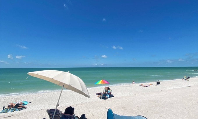 Bearss Plaza Apartment | Luxury, cozy, and Charming studio with WiFi and AC in brilliant Tampa