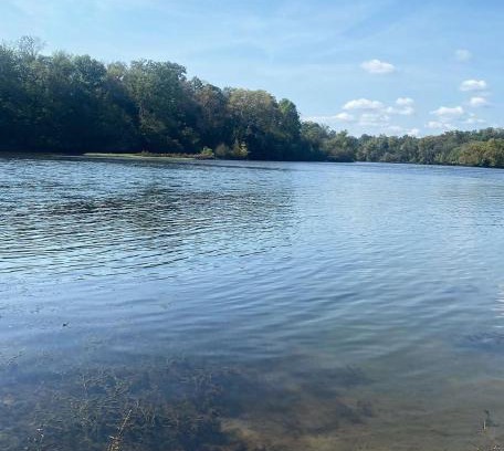 Knox County House | Luxury Riverfront Tiny Home- Amazing Views #555