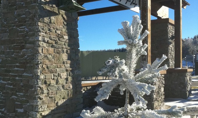 Snowshoe Condo | Luxury Snowshoe Penthouse - Best Ski-In~Out 1BR with Stunning Sunrise Mtn 🌅⛰️View