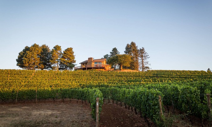 Dundee House | Luxury Wine Country Retreat