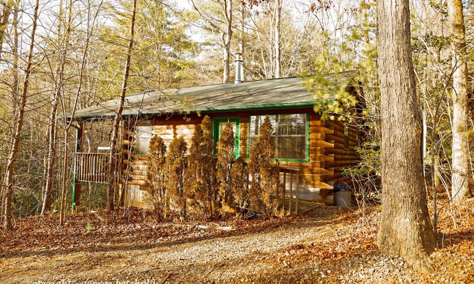 Murphy Cabin | MacDonald Cabin in Scottish Woods