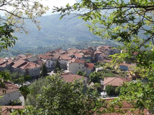 Montano Antilia Bed & Breakfast | Macondo