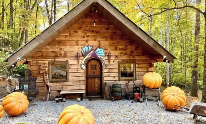 Hayesville Cabin | Magical Caretaker’s Cabin with Loft, Firepit, Petting Zoo & Wizarding Charm