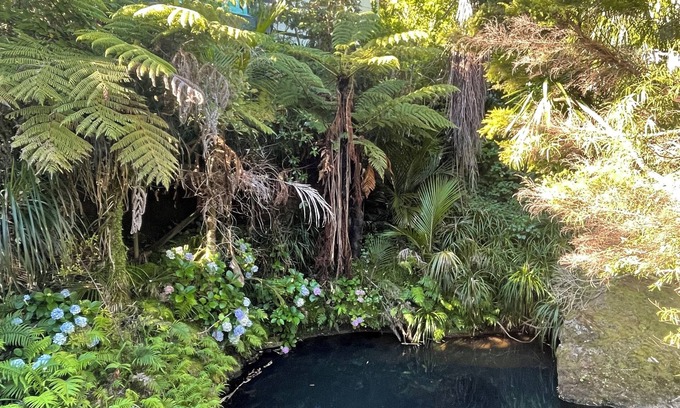 Piha House | Magical river retreat with private swimming hole.