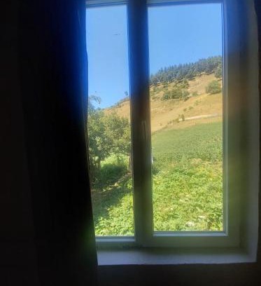 Tsvirmi House | Maia's Guesthouse