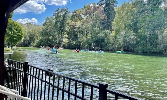 Weeki Wachee Gardens House | Main UpRiver Cedar Cabin w/Kayaks l New Dock l Ladder l gazebo l BBQ