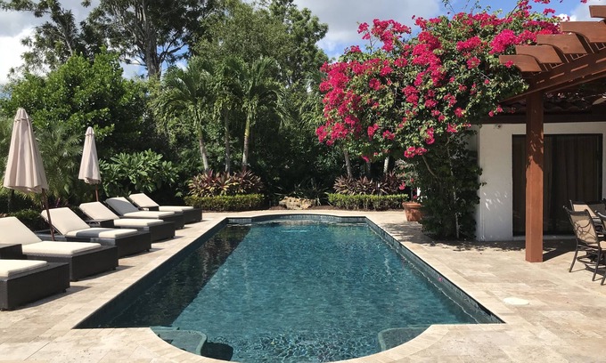 Wellington House | Maison Du Sud - Luxury Tropical Oasis With Gorgeous Pool And Garden