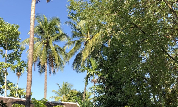 Luang Prabang Villa | Maison Houng Chanh - Luang prabang