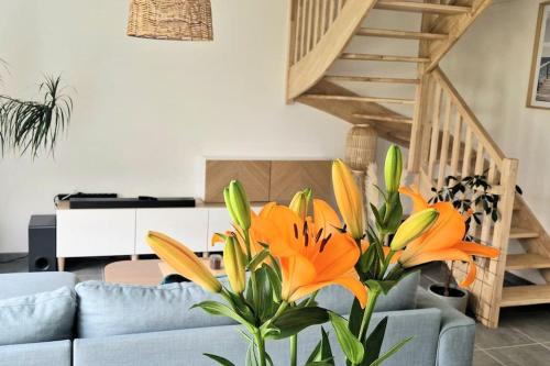 Baden House | Maison moderne à Baden