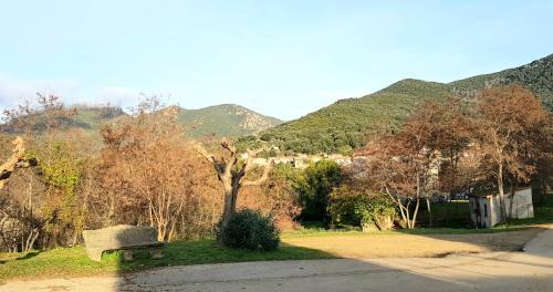 Santa-Maria-Siche Apartment | Maison village Corse