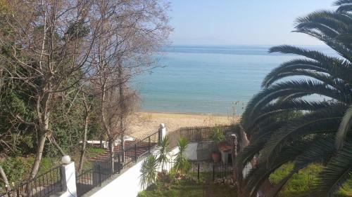 Palaio Tsifliki House | Maisonette 25m from the sea