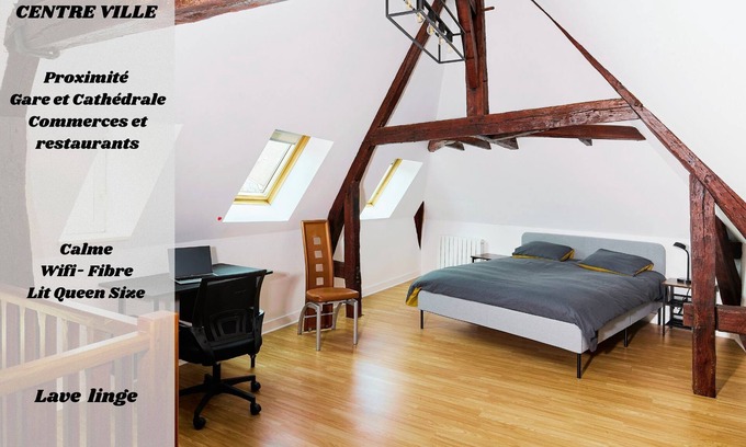 Chartres Apartment | Manceau - Magnificent duplex - Downtown - Cathedral view