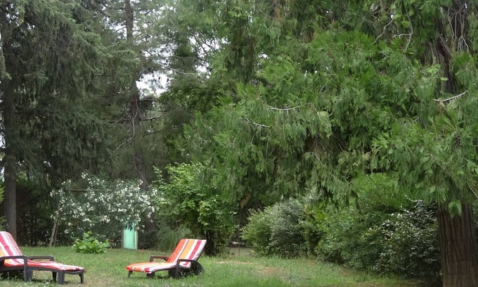 Narbonne House | Mansion In the shade of the big trees of the park, great comfort