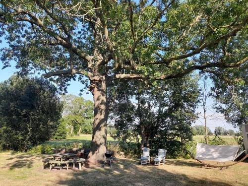 Celles House | Marie Bonheur