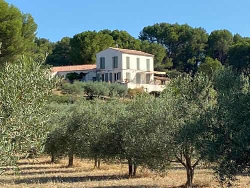 Saint-Pons-de-Mauchiens House | Mas de l'Archange
