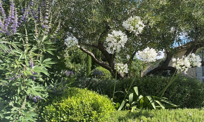 Gordes House | Mas des anges in gordes