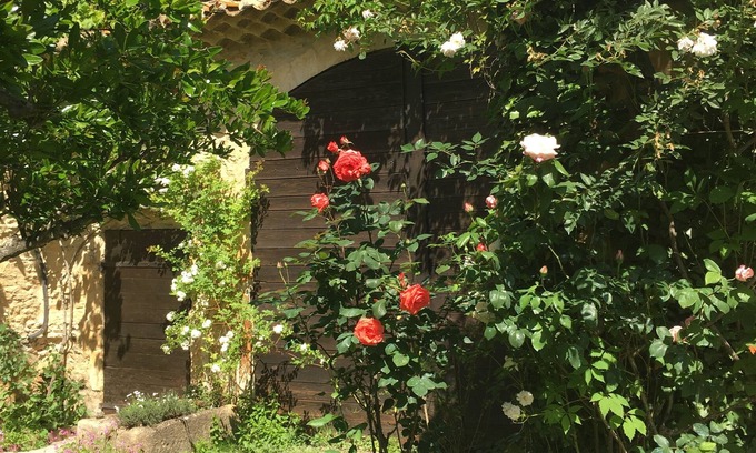 Piolenc Bed & Breakfast | Mas provençal