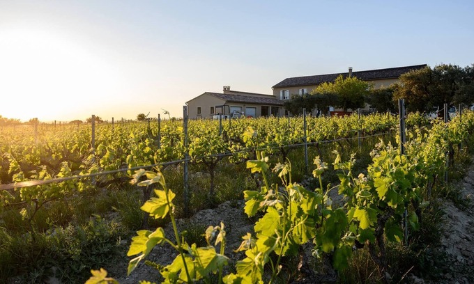 Vacqueyras House | Mas Viticole Les Cardelines with swimming pool - by feelluxuryholidays