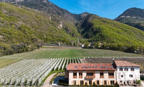 Laives House | Maso Renner