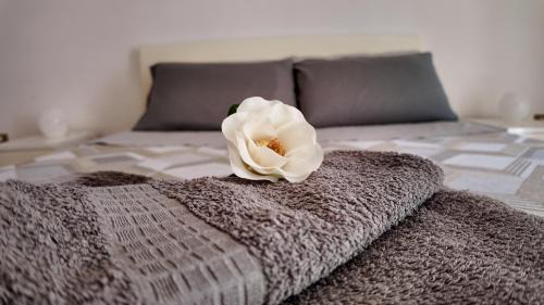 Pizzo Apartment | Mastrolino House