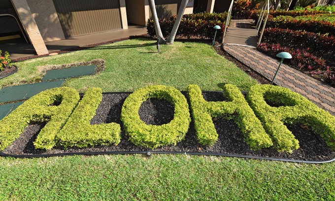 Honokowai Condo | Maui Budget Condo with Oceanfront Luxury at Papakea