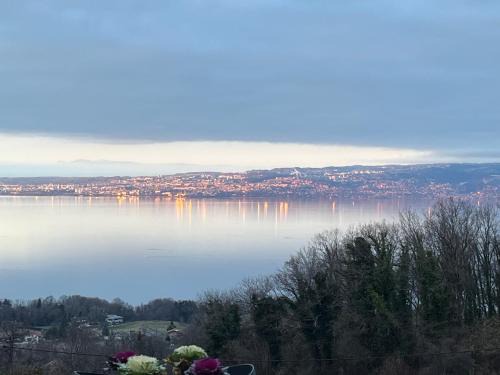 Maxilly-sur-Leman Apartment | Maxilly appart