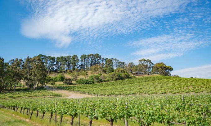 McLaren Flat House | McLaren Vale Getaways