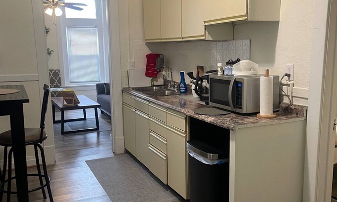 Downtown Buffalo Apartment | Medical Campus. 2 miles from downtown 1 block from Main St. train station.