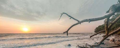 Staberdorf Apartment | Meeresrauschen - direkt am Meer