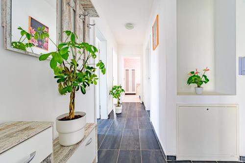 Dohren-Wulfel Apartment | Merve Comfort Aparts2-Hannover