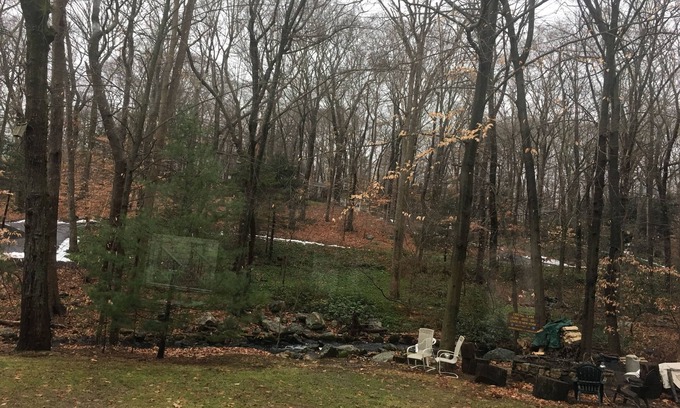 North Stamford House | Mi casa su casa! Enjoy peaceful living