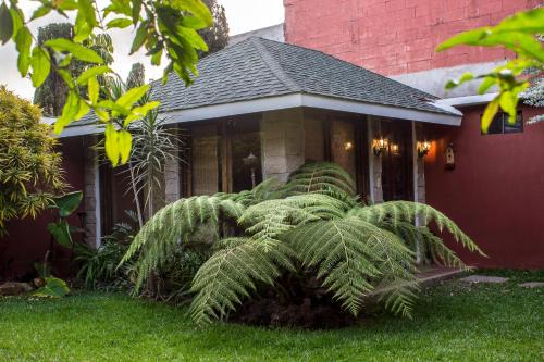 Zona 13 House | Mi casa, tu casa