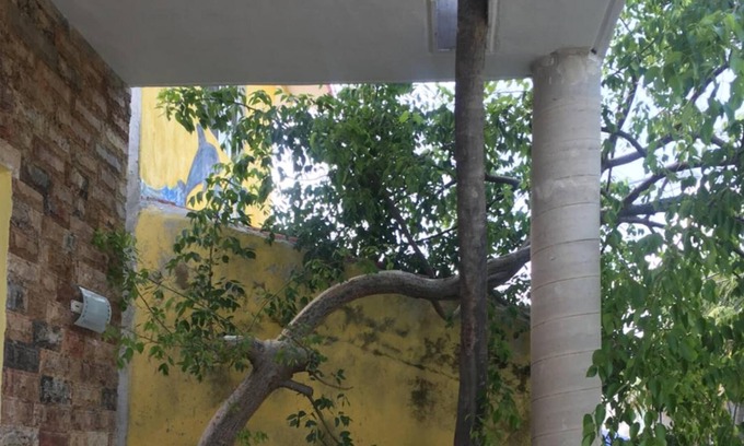 Downtown Holbox Hotel | Mi Viejo Chit