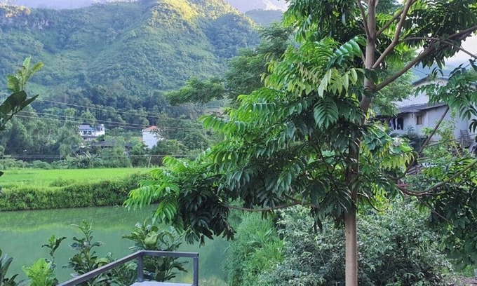 Yen Minh Bed & Breakfast | Milk Homestay