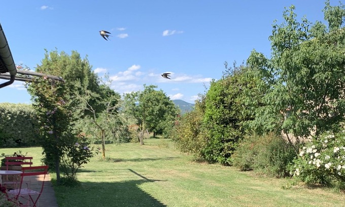 Orvieto Apartment | Milva's Nest Countryside