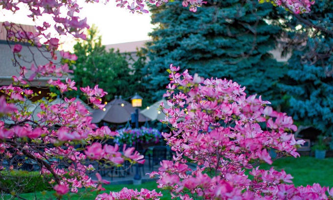 Spokane Valley Hotel | Mirabeau Park Hotel & Convention Center